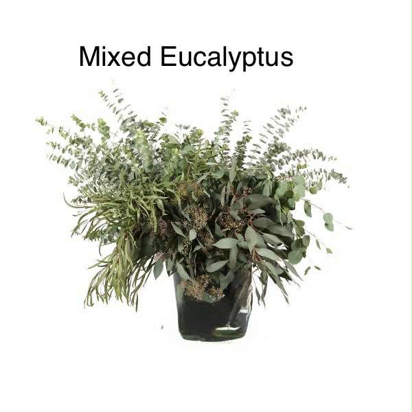 Loose Greenery Stems (for DIY designs) Sweet Blossoms LLC