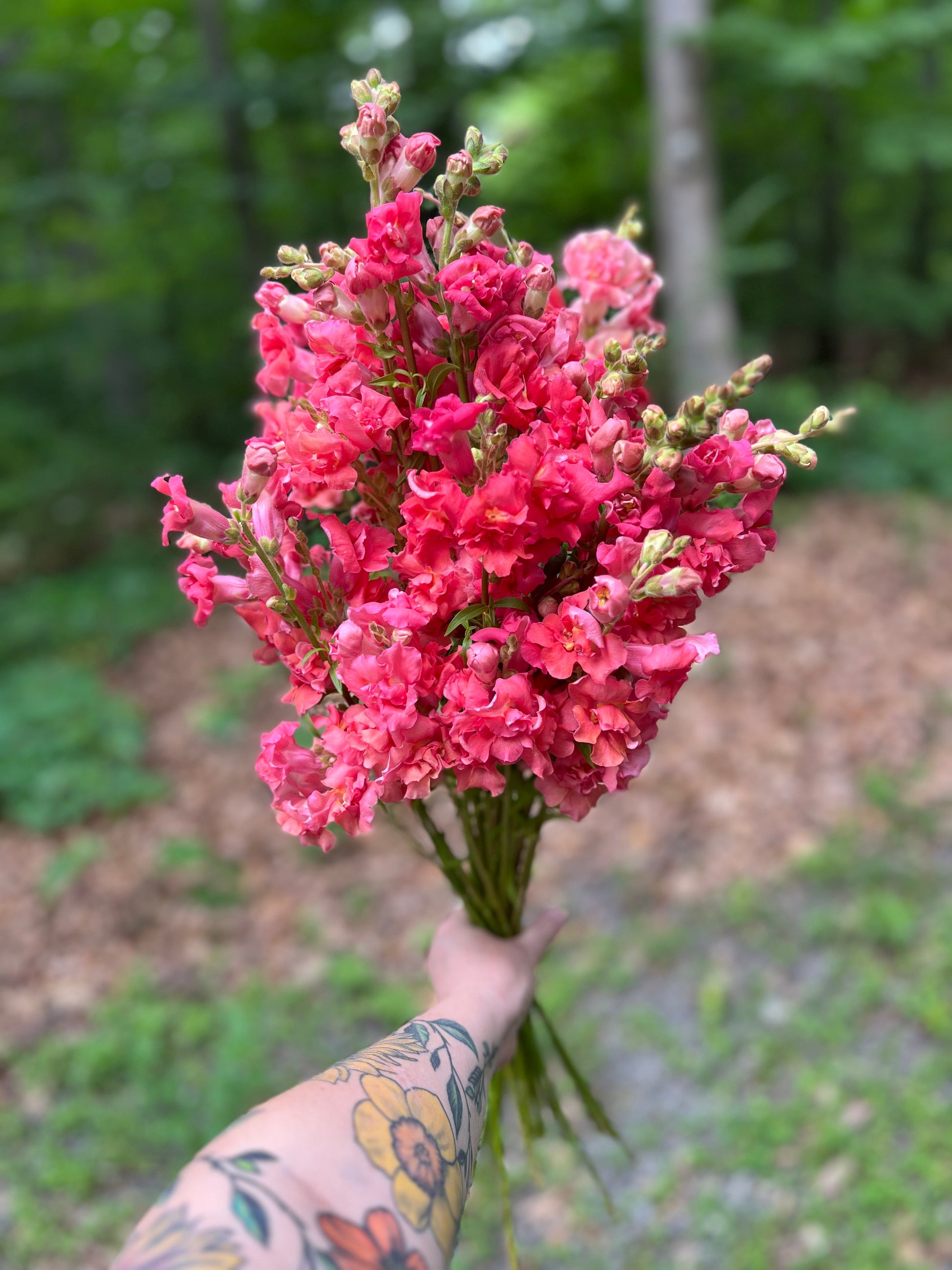 bunch of Mixed Flower Stems (for DIY designs) Sweet Blossoms LLC