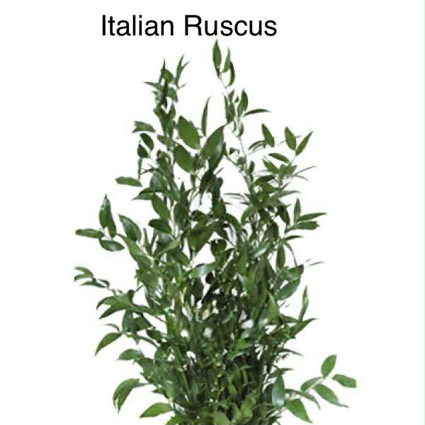 Loose Greenery Stems (for DIY designs) Sweet Blossoms LLC