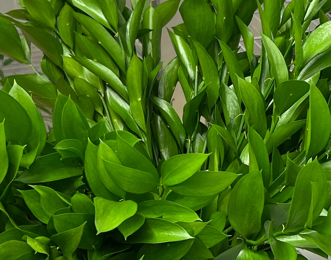 Loose Greenery Stems (for DIY designs) Sweet Blossoms LLC