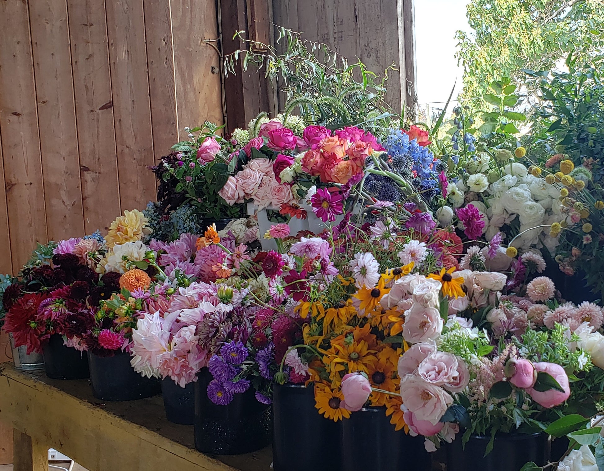 Bucket of Mixed Flower Stems (for DIY designs) Sweet Blossoms LLC
