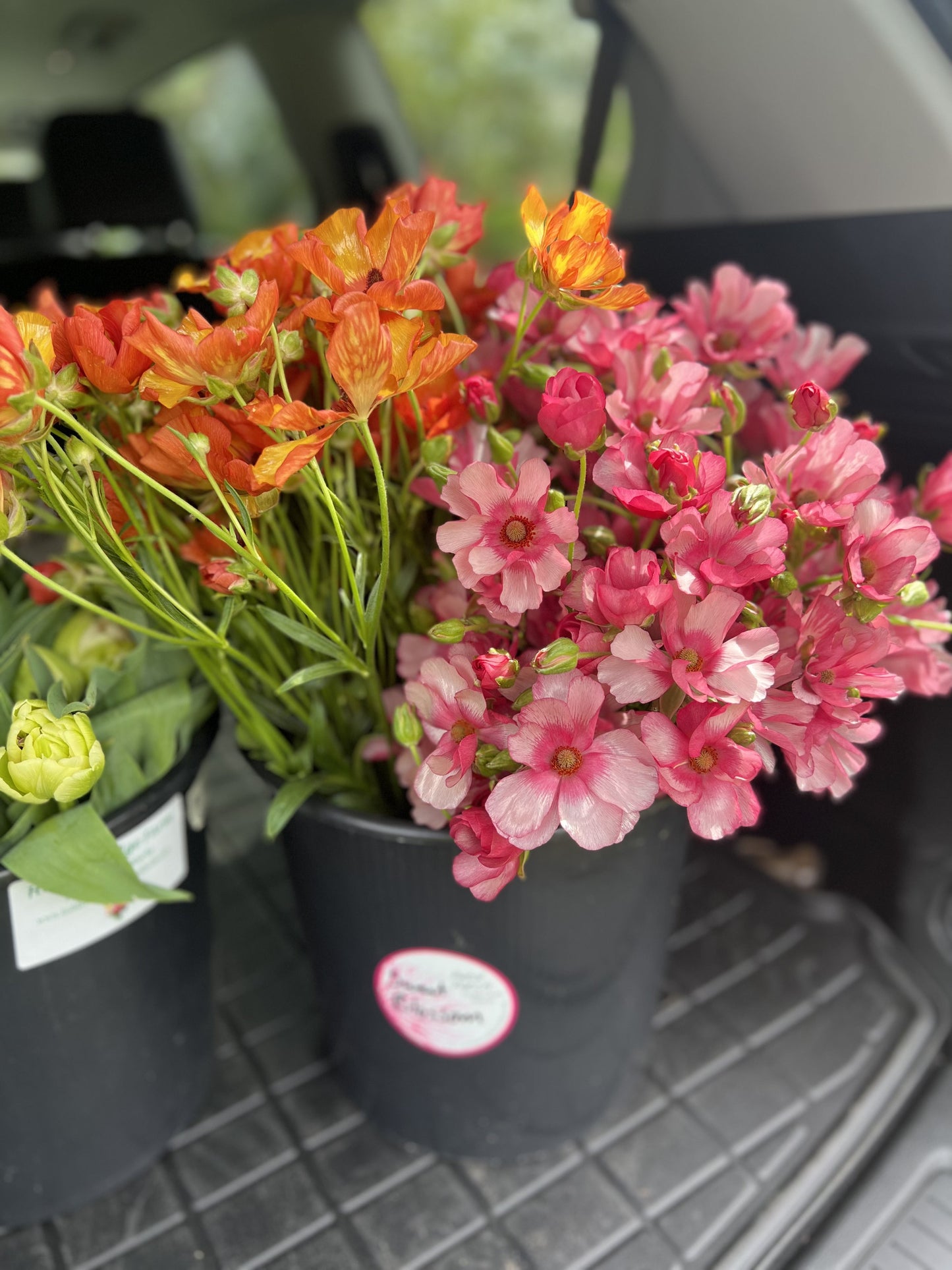 Bucket of 40-50 Mixed Flower Stems (for DIY designs) Sweet Blossoms LLC