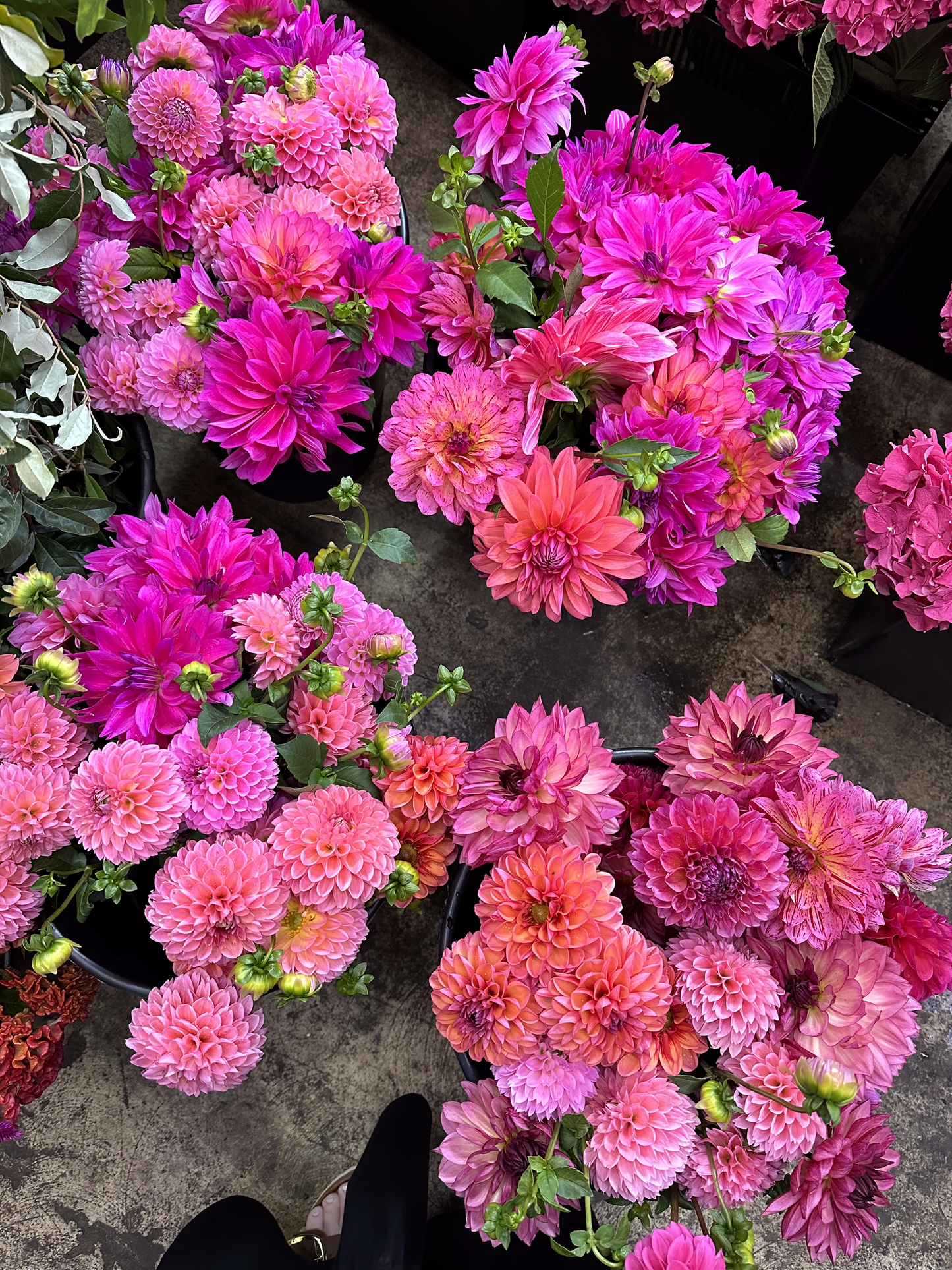 Bucket of 40-50 Mixed Flower Stems (for DIY designs) Sweet Blossoms LLC