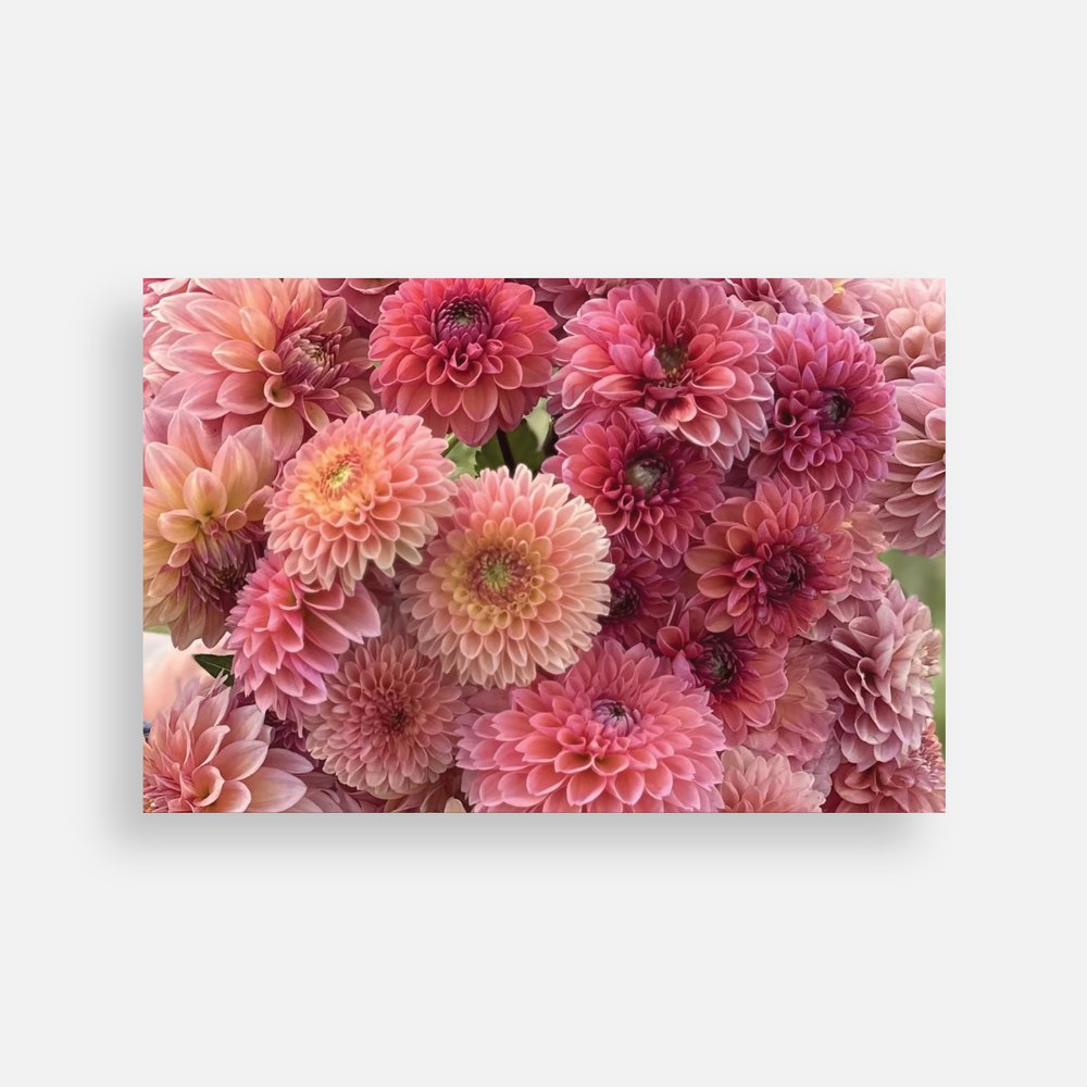 Plain Note Cards Sweet Blossoms LLC