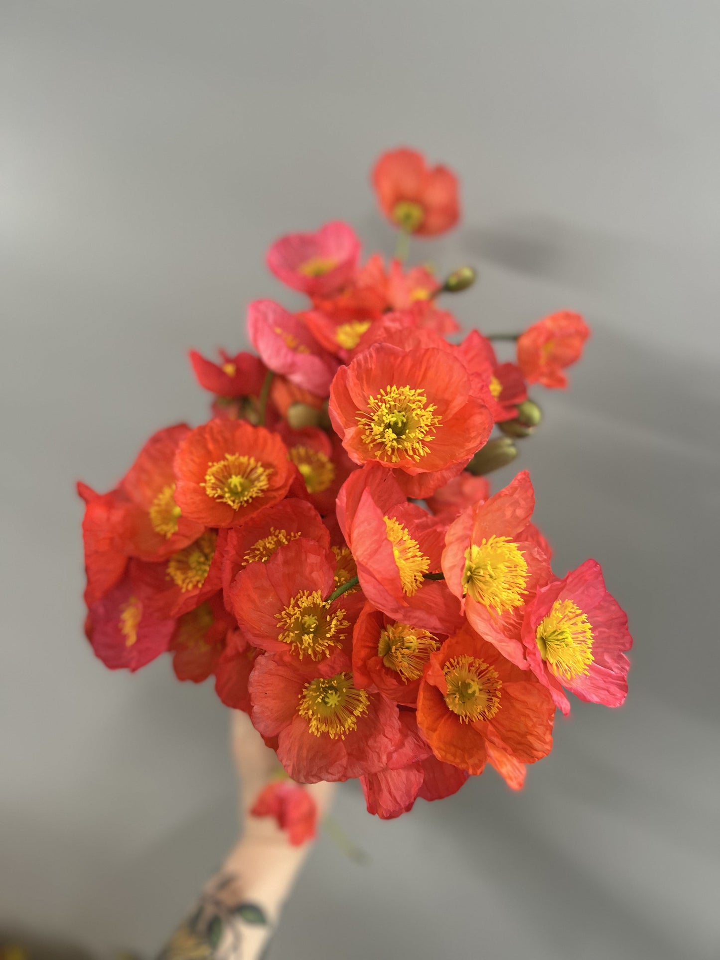 Bucket of 40-50 Mixed Flower Stems (for DIY designs) Sweet Blossoms LLC