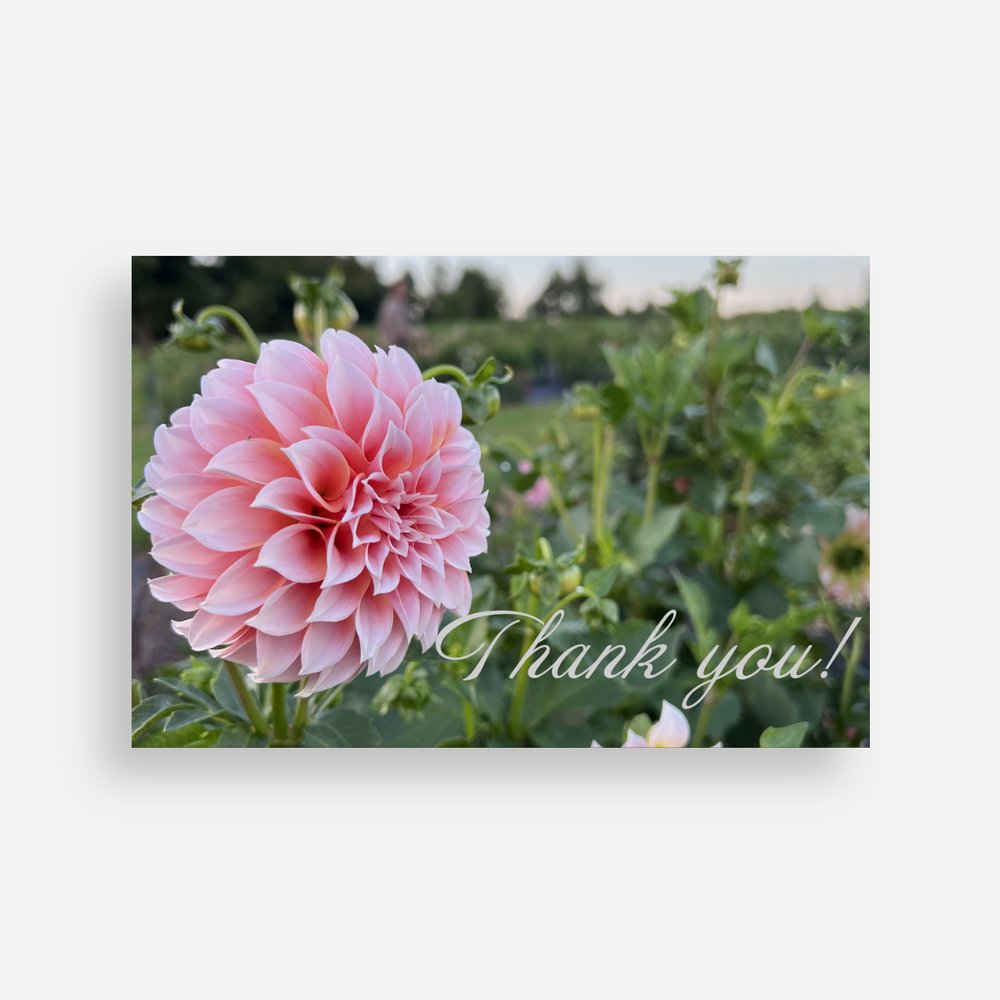 Thank You Note Cards Sweet Blossoms LLC