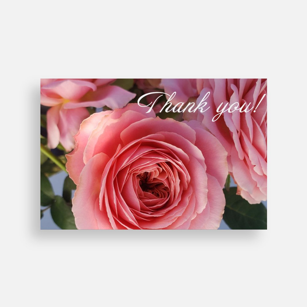 Thank You Note Cards