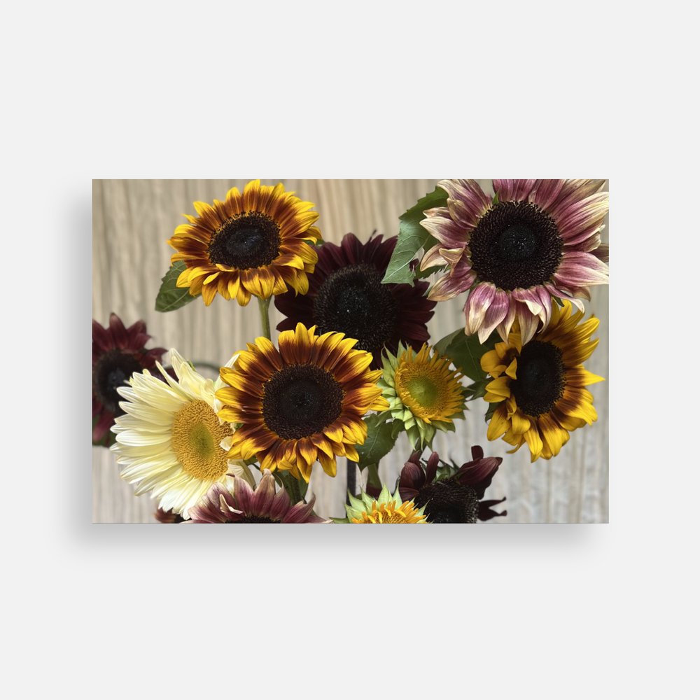 Plain Note Cards Sweet Blossoms LLC