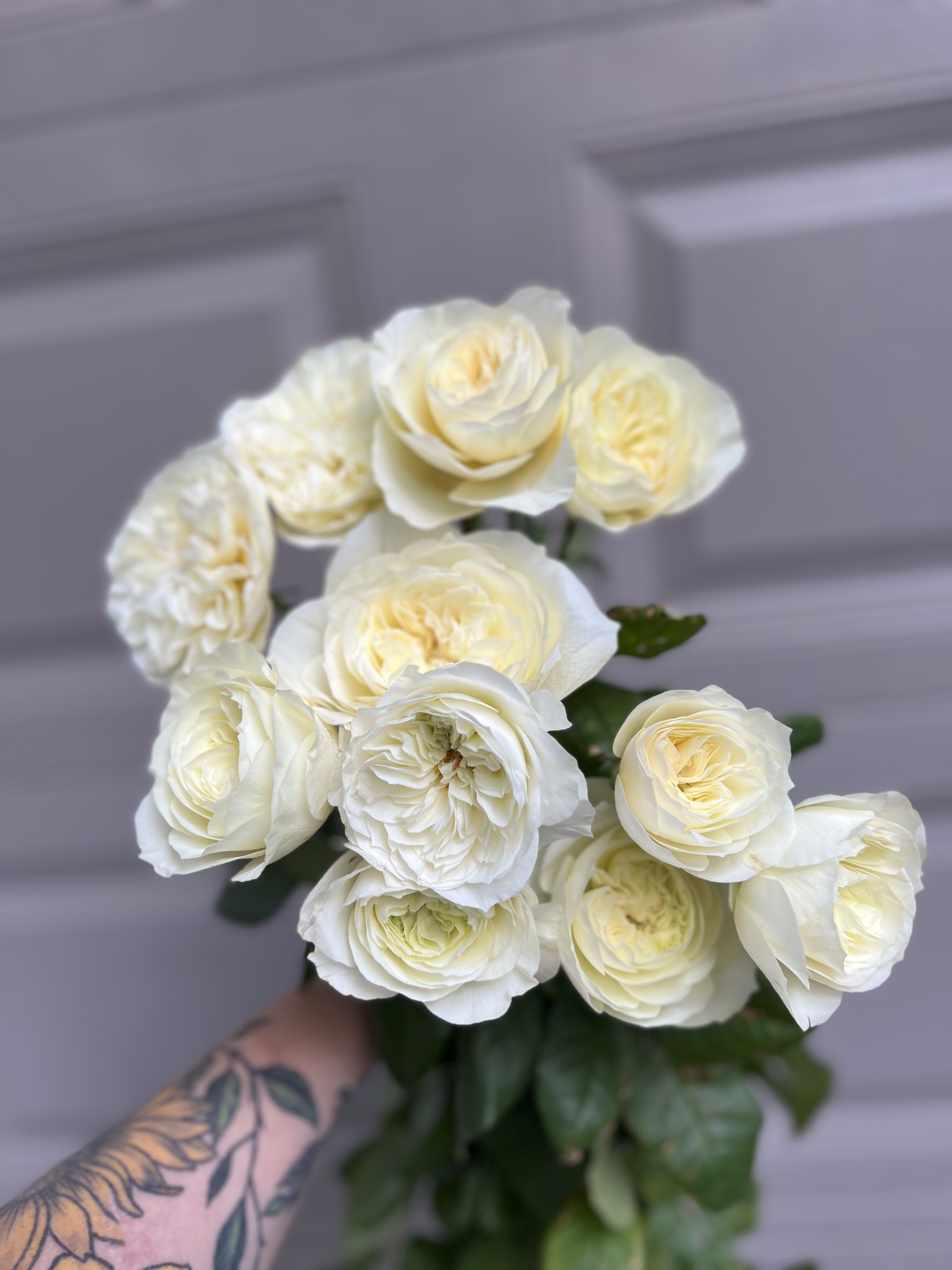 Bucket of 40-50 Mixed Flower Stems (for DIY designs) Sweet Blossoms LLC