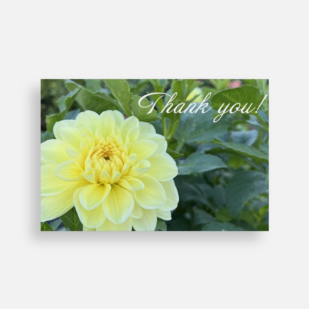 Thank You Note Cards Sweet Blossoms LLC
