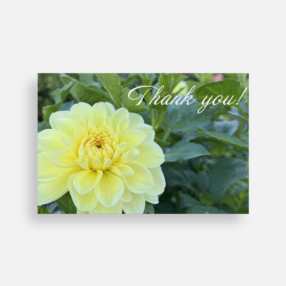 Thank You Note Cards