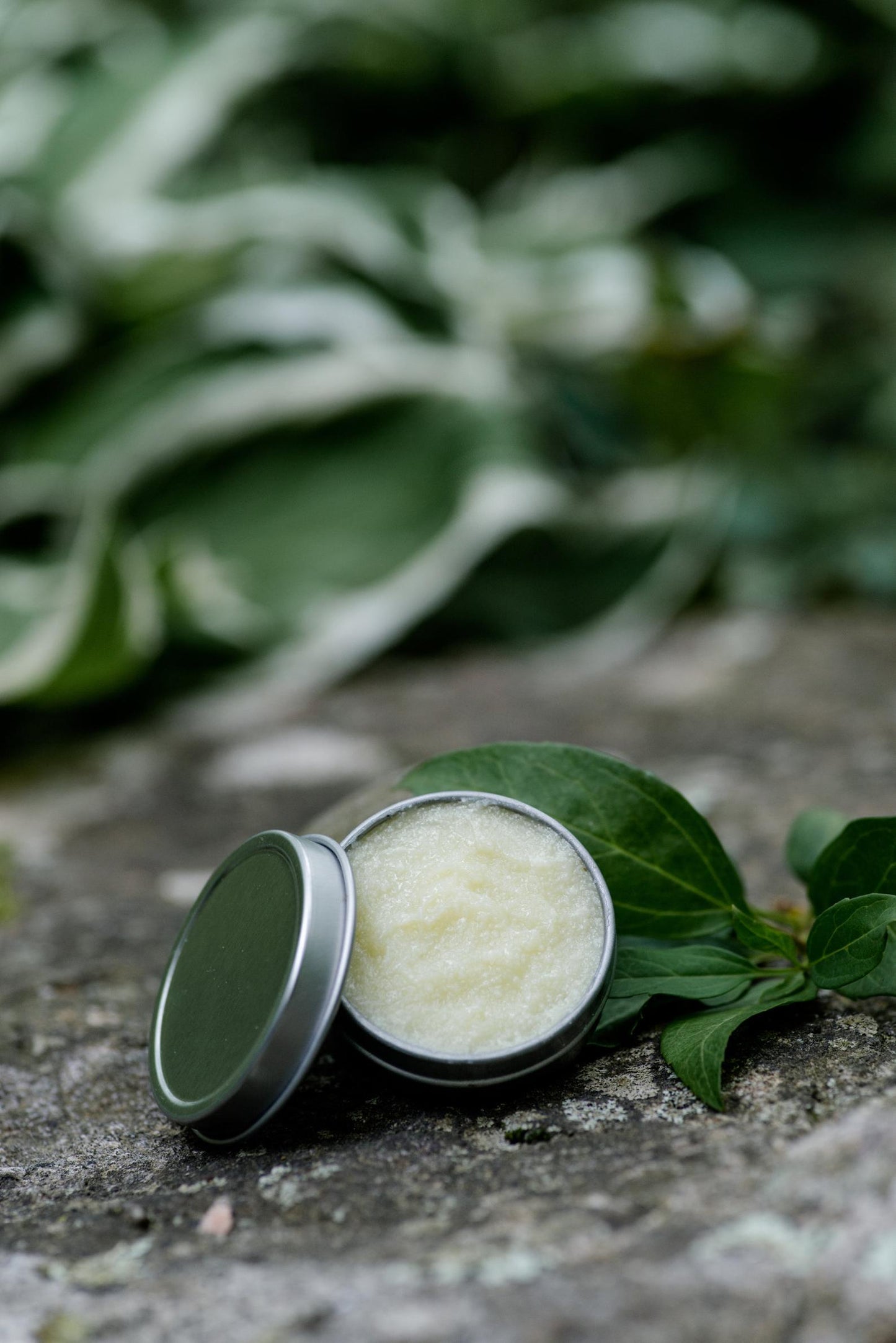 Beard Balm