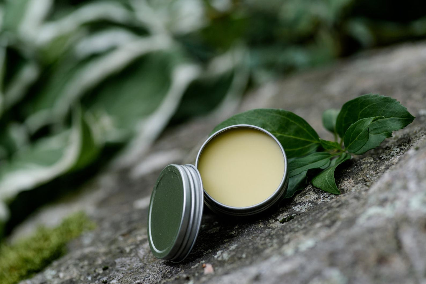 Lip Balm